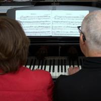 Pianoles 01